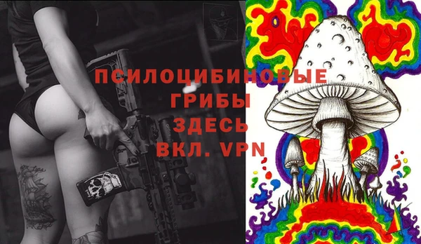 прущие крисы Пересвет