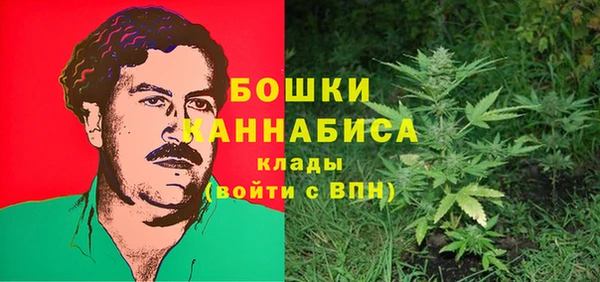 сатива Переславль-Залесский