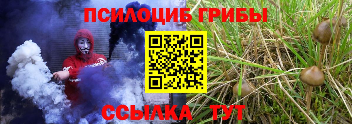 Алейск  Галлюциногенные грибы Psilocybine cubensis  Вход с VPN 