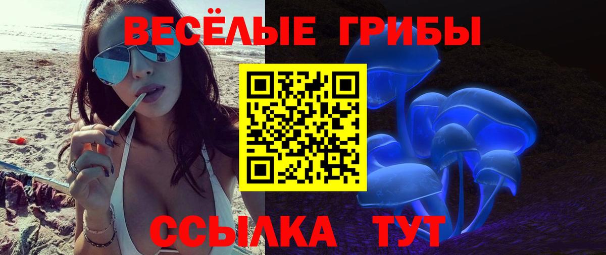 Галлюциногенные грибы Magic Shrooms Алейск