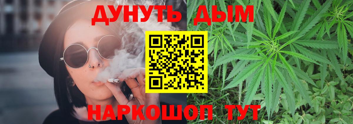 Каннабис планчик Алейск